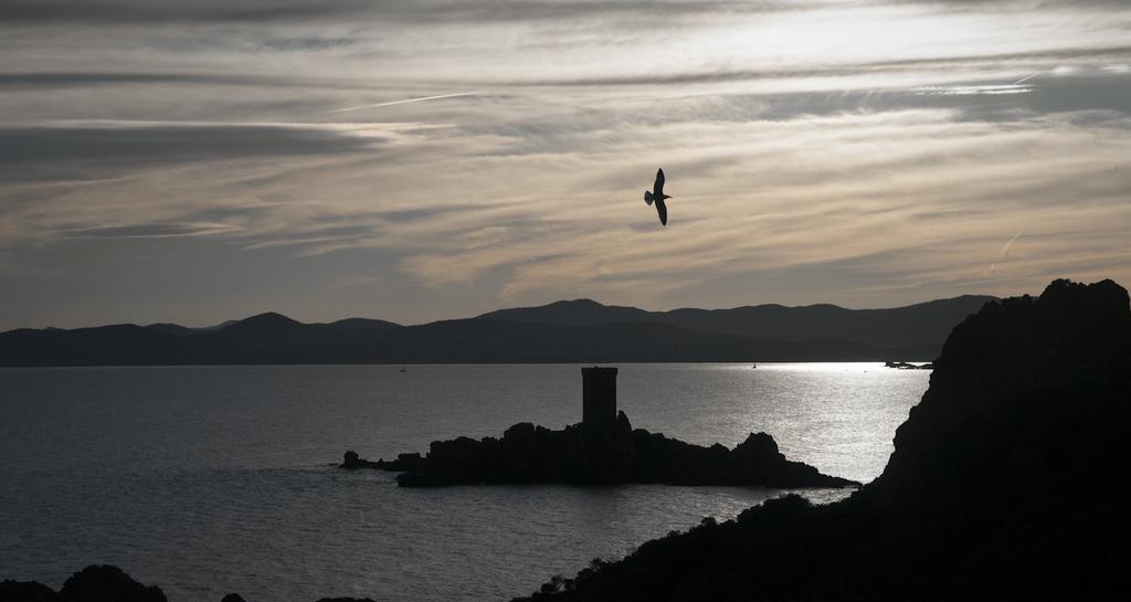 Cap Esterel Garden Flat Saint-Raphaël Kültér fotó